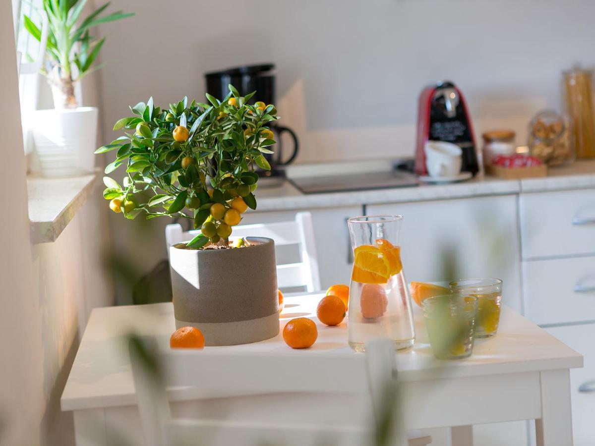 Dream Istria Holiday Poreč Extérieur photo